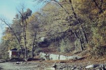 Looking up old beach road